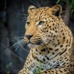 pexels-denise-556264-2759315