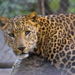 pexels-vibhor-saxena-697459-1802616