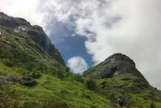 images-2-1 1