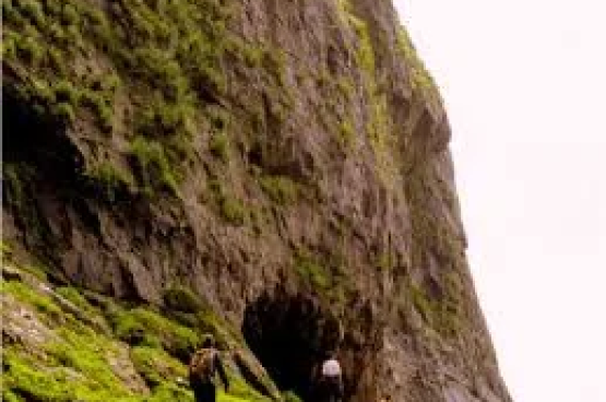 images-3-1 1