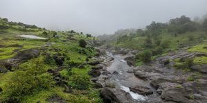 PXL_20210718_065229426